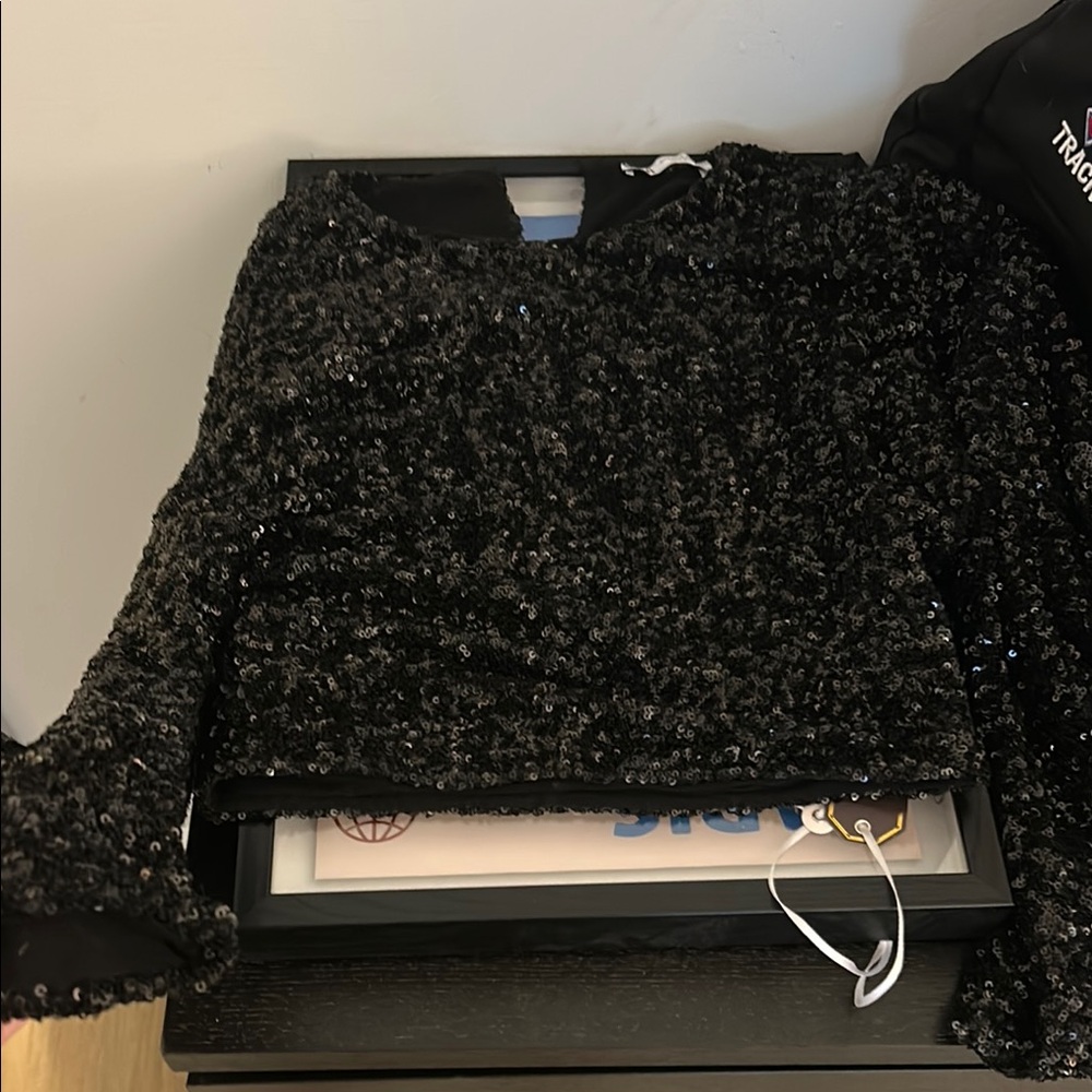 Zara Shimmering Black Sequin Top